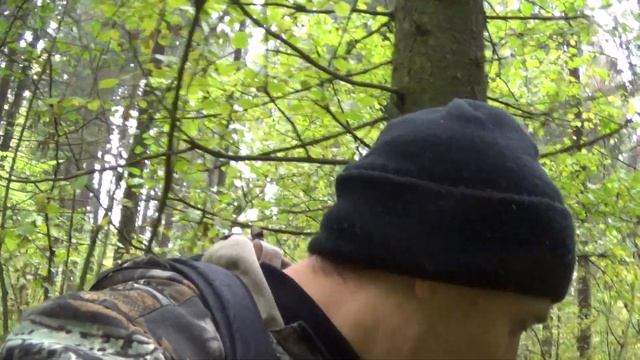 Equinox 800 прошивка 2.12 первый выход