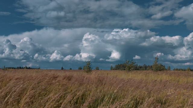 ПОЛЕ И ОБЛАКА _ Футаж _ FIELD AND CLOUDS _ Footage_ (4К_Ultra HD) смотреть онлайн