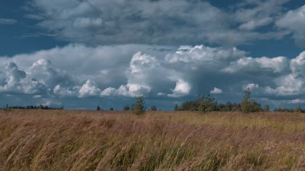 ПОЛЕ И ОБЛАКА _ Футаж _ FIELD AND CLOUDS _ Footage_ (4К_Ultra HD)