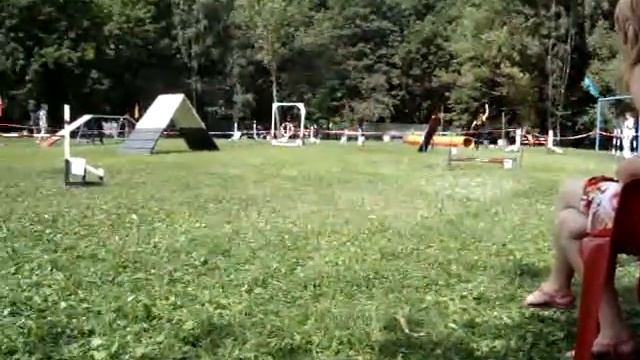 Аджилити, я и Джера смотреть онлайн