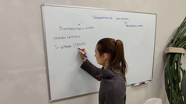 Доказательства роли ДНК в передаче наследственной информации. Трансформация. смотреть онлайн