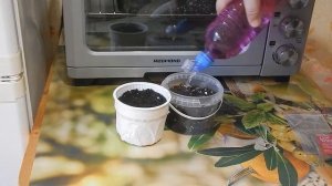 Обеззараживание земли для рассады в микроволновке.