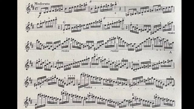 Rode violin Caprice no.6 (TX All State Violin)| Fast/Slow смотреть онлайн