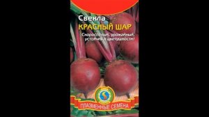 Обзор сорта свекла «Красный шар» (характеристики, свойства, фото)