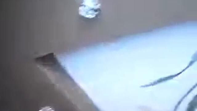 Натяжные потолки с фотопечатью смотреть онлайн