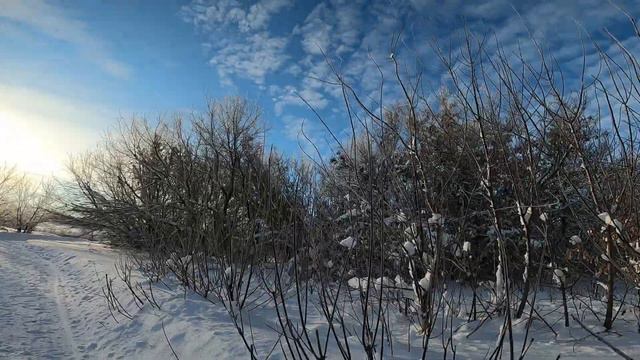 Потомок династии саратовских мукомолов Яков Шмидт. смотреть онлайн