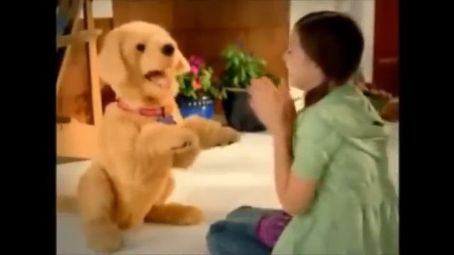 Hasbro FurReal Friends Умный щенок Бисквит смотреть онлайн