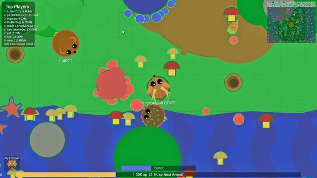 Mope.io закрыли?