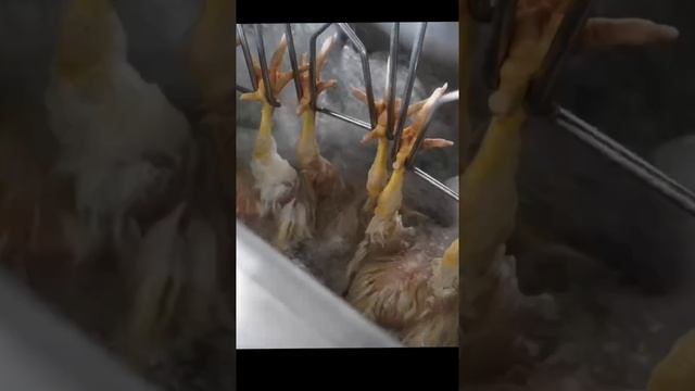 Eruis Automatic Scalding Part of Slaughter Line смотреть онлайн