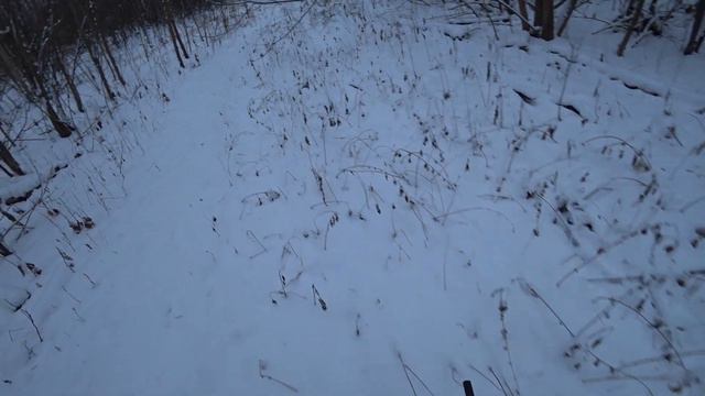 ОХОТА НА ЗАЙЦА. В ЭТОМ ГОДУ ОЧЕНЬ МНОГО ЗАЙЦЕВ. ОХОТА НА РУСАКА 2020 МР155 смотреть онлайн