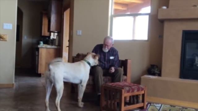 My Dad With Our Dog смотреть онлайн