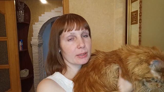 КАК УБРАТЬ С ВОЛОС РЫЖИЙ ОТТЕНОК И ПОЛУЧИТЬ ПЕПЕЛЬНЫЙ | Наташа и К°тики #какубратьрыжийоттенок смотреть онлайн