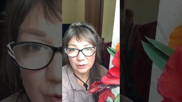 Три вида брака смотреть онлайн