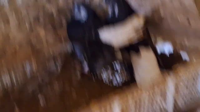 Голуби И. Т. Луганск. Пешеходы.... смотреть онлайн