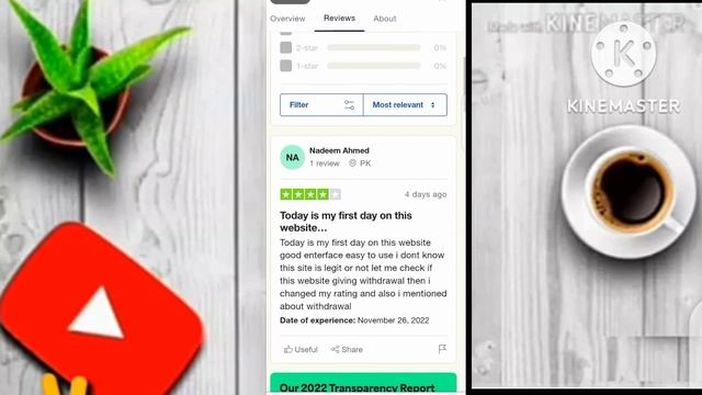 TRUSTPILOT REVIEWS Widget Plugin for Wordpress [2023] Online earning Without investment app смотреть онлайн