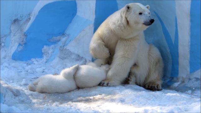 А вот и мы симпатяшки-двойняшки 28.03.19