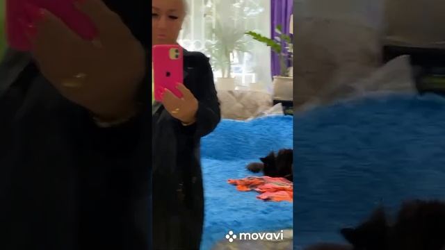 Небольшой обзор на новую одежду ? смотреть онлайн
