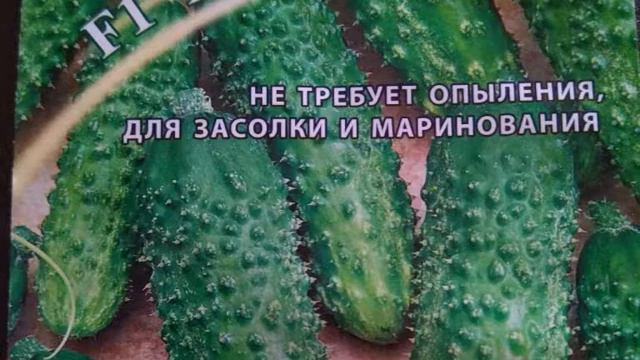 ОГУРЕЦ КАПУЧИНО F 1 смотреть онлайн