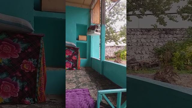 Кабк кеклик горная куропатка 10 10 2020 смотреть онлайн