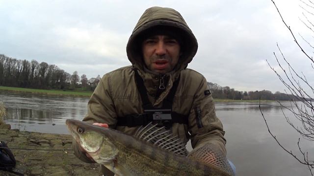 Рыба Любит Приключения