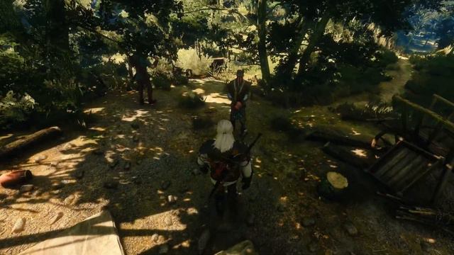 The Witcher 3: Wild Hunt 117 - Finishing The Gwent Quests