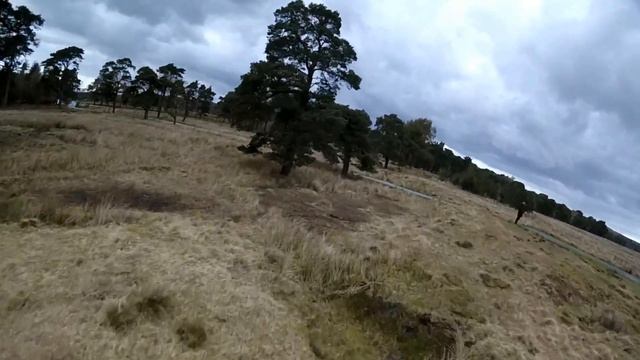 180mm FPV miniquad Forrest of Bowland flight смотреть онлайн