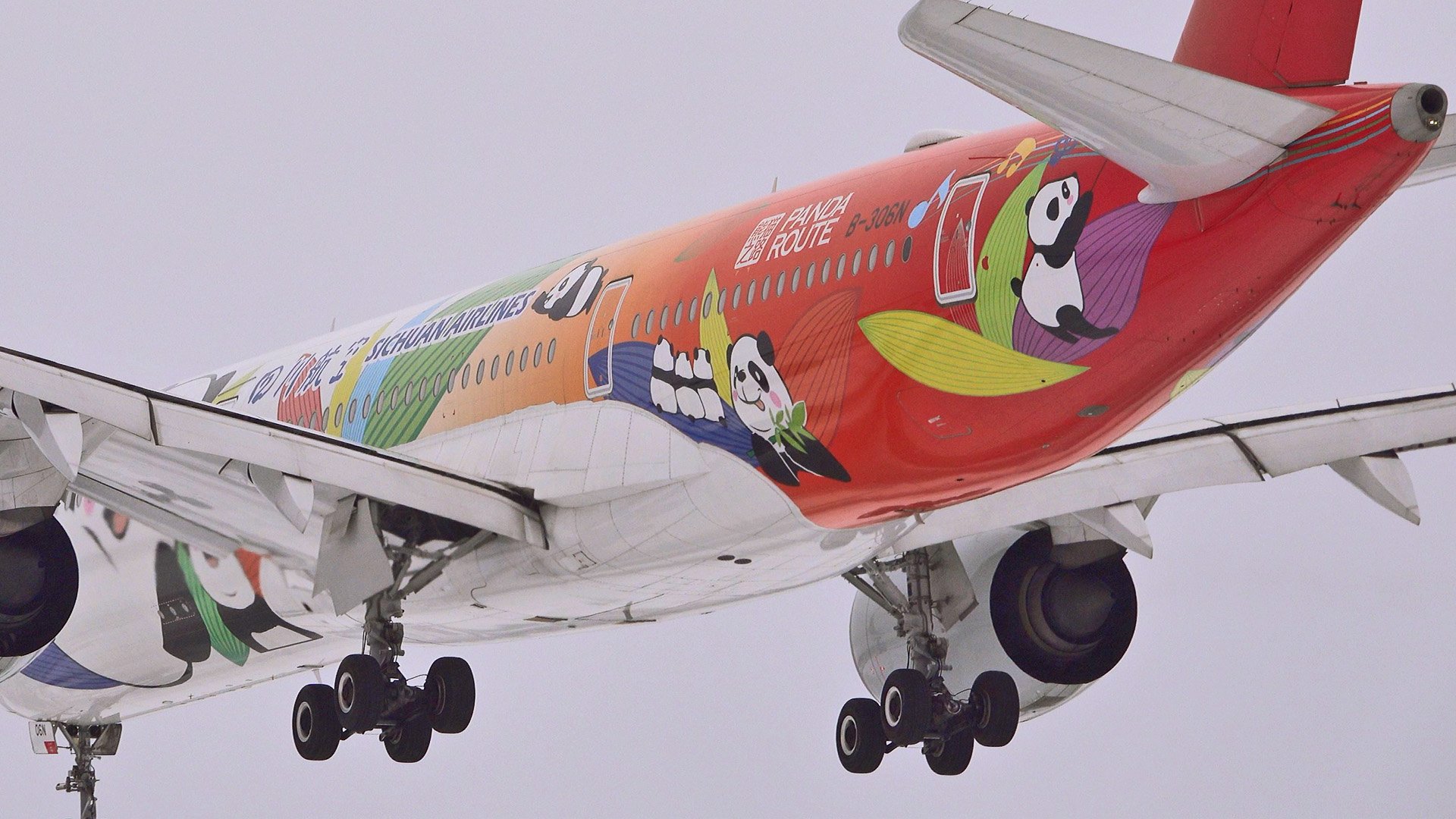 Один из трёх в мире "пандолётов" прилетел в Шереметьево. Январь, 2023 смотреть онлайн