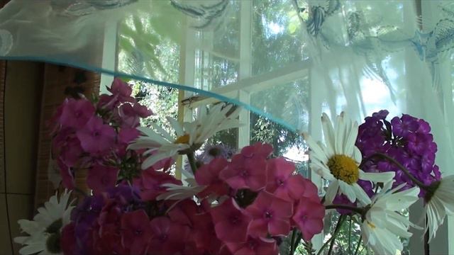 CHICA DEL PAÌS DEL NORTE смотреть онлайн