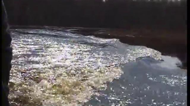 Государственный природный заказник "Былина" часть 2 смотреть онлайн