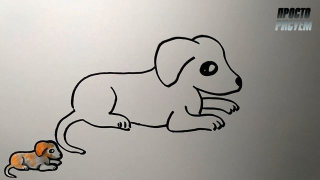 Как нарисовать СОБАКУ, очень простой способ, Просто рисуем смотреть онлайн