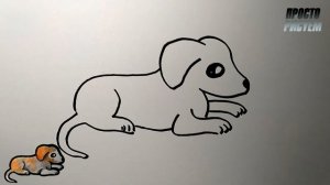 Как нарисовать СОБАКУ, очень простой способ, Просто рисуем