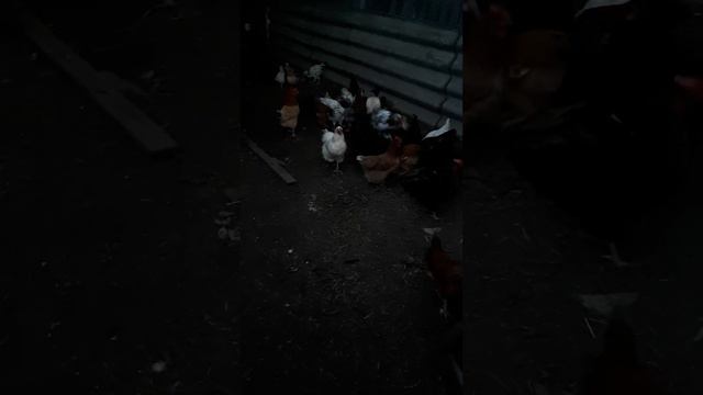 Итак происходит каждое утро смотреть онлайн