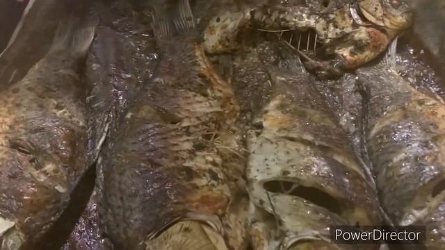 Великолепные карасики в духовочки? смотреть онлайн