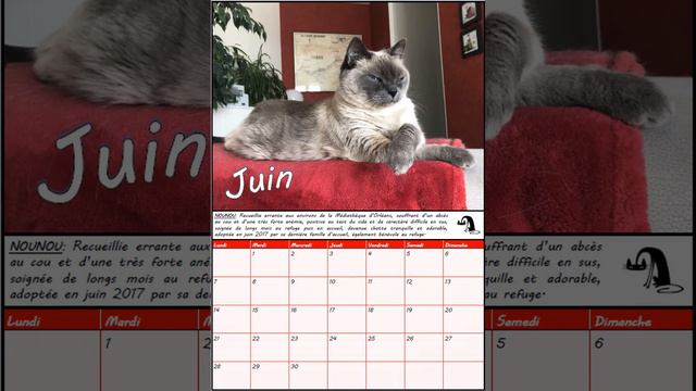 Calendrier 2021