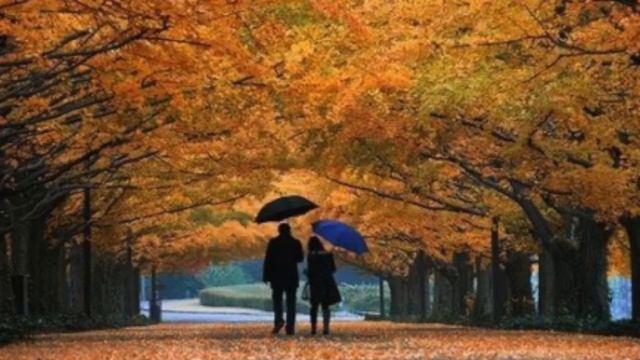 Рязанов-Последняя любовь смотреть онлайн
