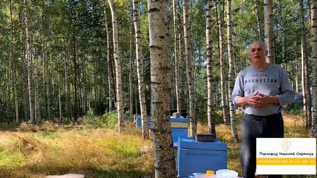 ОБРАБОТКА И ПОДКОРМКА ПЧЁЛ ОСЕНЬЮ смотреть онлайн
