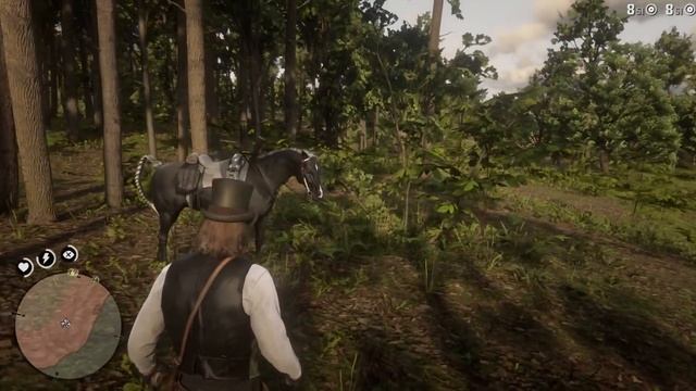 Red Dead Redemption 2 - COMPLETE DEAD EYE TUTORIAL смотреть онлайн