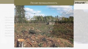 Дальний Восток хозяйство Инфоурок