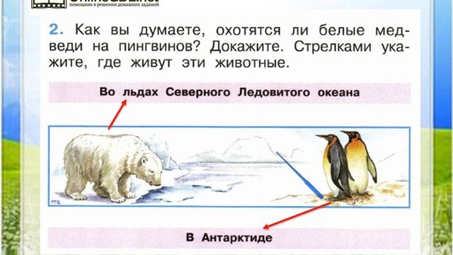 Задание 2 Где живут белые медведи? - Окружающий мир 1 класс (Плешаков А.А.) 2 часть смотреть онлайн
