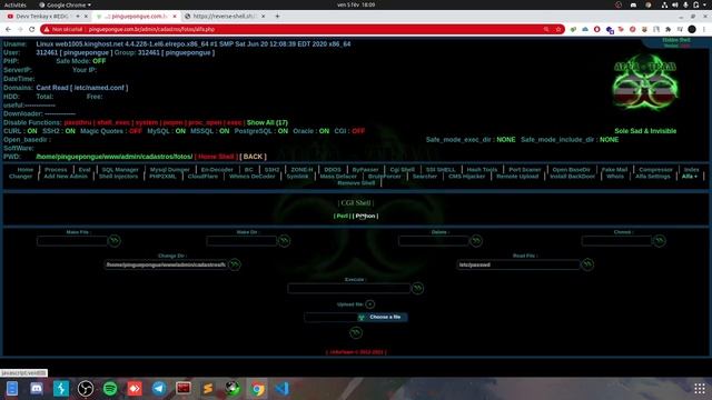 backconnect shell without php shell_exec/system смотреть онлайн