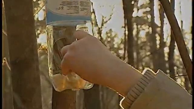 Кормушки для птиц смотреть онлайн