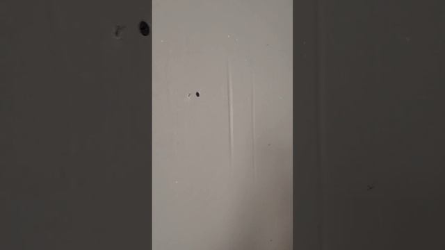 ПОЧЕМУ НЕЛЬЗЯ ПОСЛЕ МОНТАЖА ГКЛ КЛЕИТЬ ОБОИ??? смотреть онлайн