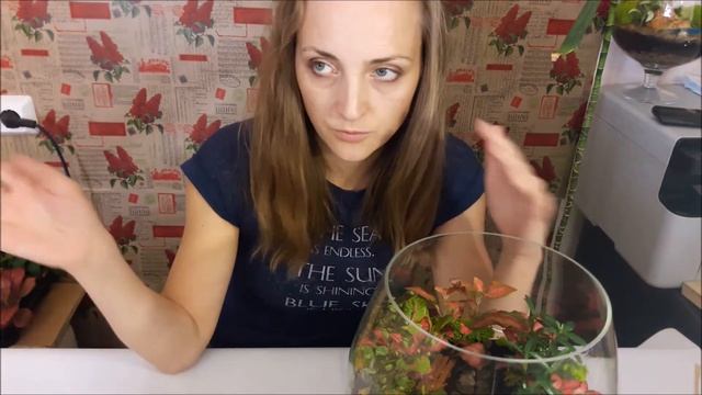 Флорариум своими руками. Осенняя аллея смотреть онлайн