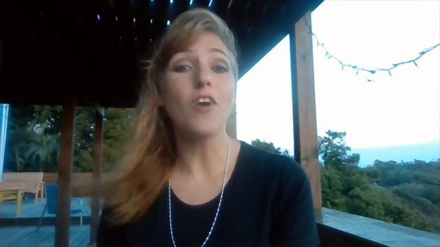 Shana Deemy VSA Teacher Introduction Video смотреть онлайн