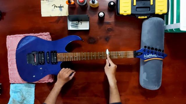 Restauración Washburn WG-580 - Parte 1