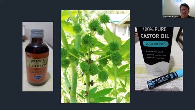 BALIKTANAW - Kasaysayan at Kalikasan Webinar: Dr. Lourdes B. Cardenas смотреть онлайн