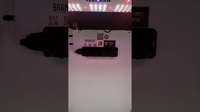 ГРОУБОКС SECRET BOX 180х80х65 смотреть онлайн