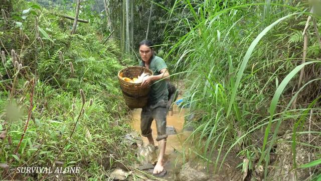 Harvesting, carp, smoked fish making process, food preservation for Tet, survival alone смотреть онлайн