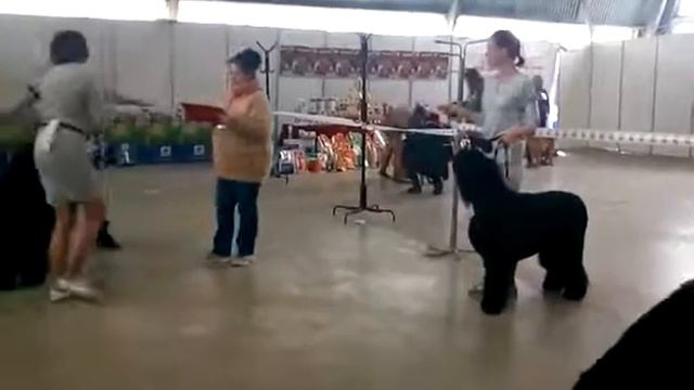 VID 20170513 WA0007 смотреть онлайн