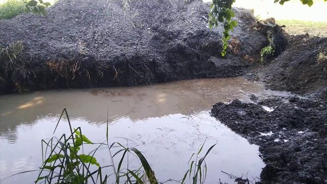 пруд для полива малины.